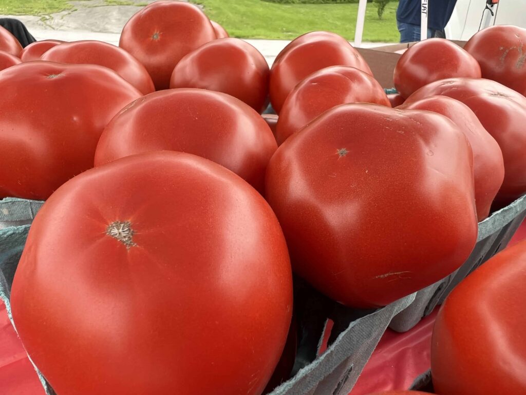 Farmers Market Tomatoes